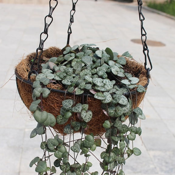 HAMPPLIES 1Set Cocoa Liners Baskets Brown Fiber Hanging Basket Replacement for Moisture and Airflow