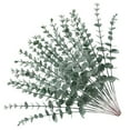 thumbnail image 1 of HAMPPLIES Real Touch Eucalyptus Stems Dark Green 24Pcs 15X1.8In, 1 of 8