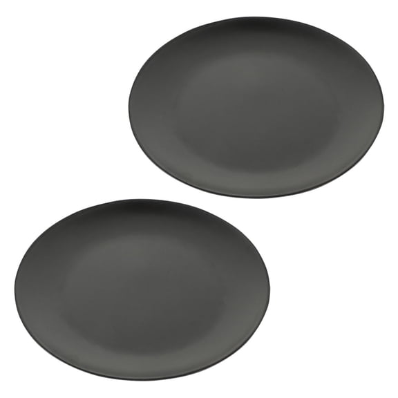 HAMPPLIES Set of 2 Black Dinner Plates for Outdoor Events, Home Parties, and Food Tray Use