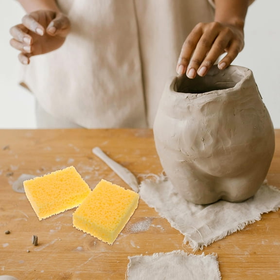 HAMPPLIES 2Pcs Portable Rectangle Pottery Sponge Blocks for Clay Modeling DIY and Craft Activities