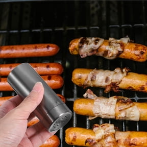 HAMPPLIES Set of 2 Stainless Steel Seasoning Shakers for Camping and Kitchen Use, Spice Containers