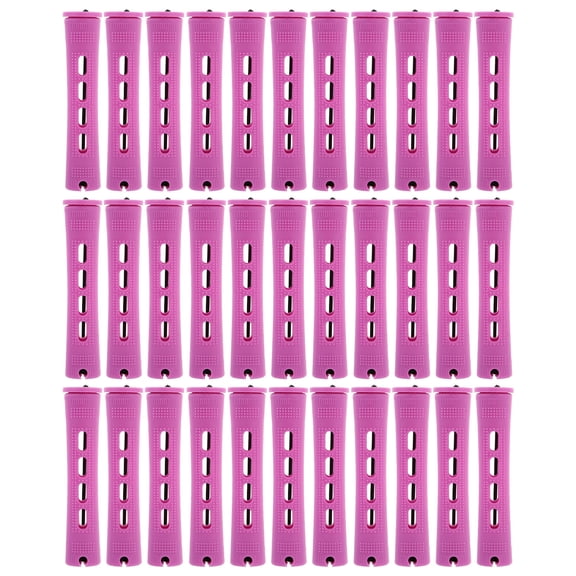 HAMPPLIES 30Pcs Professional Purple Plastic Hair Rollers with Caps for Home and Travel Styling