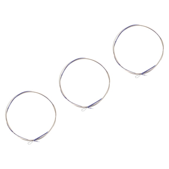 HAMPPLIES 3Pcs Plated Silver Chinese Lute Practice Accessory with Wear Resistant Material