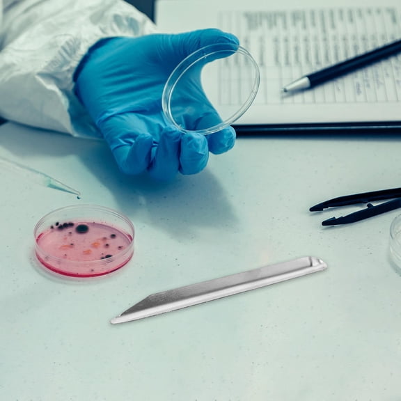 HAMPPLIES 3pcs Steel Mixing Tool Metal Laboratory Scoop for Scooping Handling in Labs