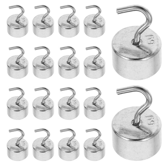 HAMPPLIES 50Pcs Lab Weight Set Chromium Plated Slotted Weights with Hook for Physics and Science Experiments