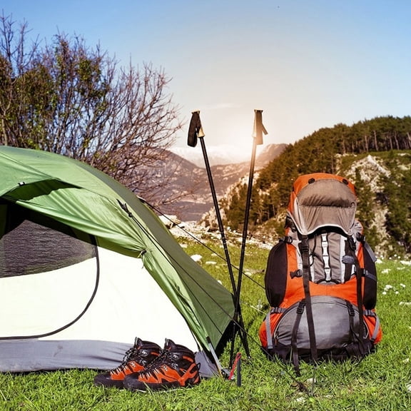 HAMPPLIES 5Pcs Metal Hiking Pegs Black Lightweight for Easy to Pull Out Tent Stakes