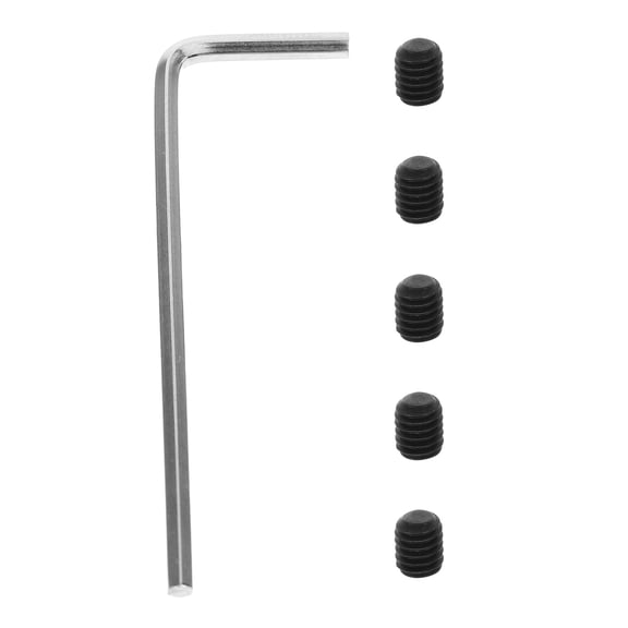 HAMPPLIES 6-Pack Electric Guitar String Trees with Metal Screws for Accurate and Stable Tuning Performance