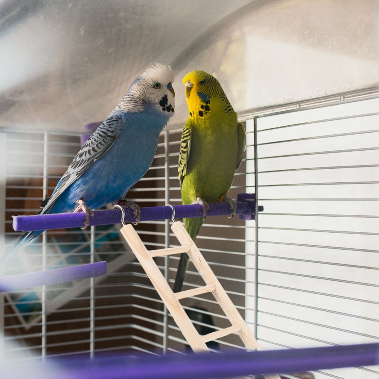 Bird Cage With Ladder And Slide Reference: Hampplies Parrot Ladder Toy Khaki 1Pcs 14 8X2 8X0 4In