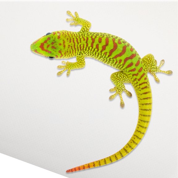 HAMPPLIES Soft White Eva Reptile Mat for Terrarium Suitable for Lizard Snake Tortoise and Bearded Dragon