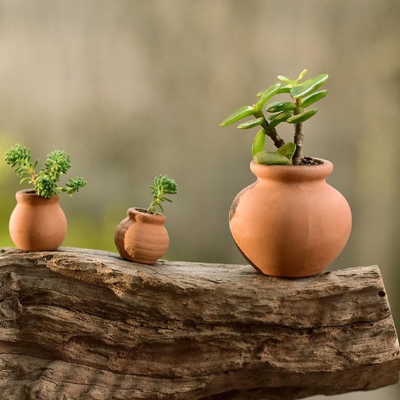 HANABASS 12 Pcs Mini Terracotta Pots 1.5 Inch Small Succulent Clay Pots for Plants