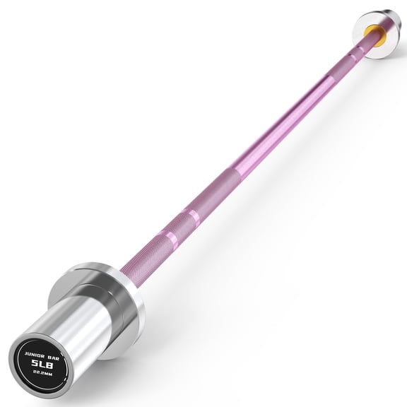 HANDBODE 4ft 5lb Mini Short Barbel,Rust & Scratch Resistant Coated Beginner Women Weightlifting Bar, Fits 2-Inch Weight Plates, Strength Training Home Gym Weight Lifting Bar, Pink & Silver