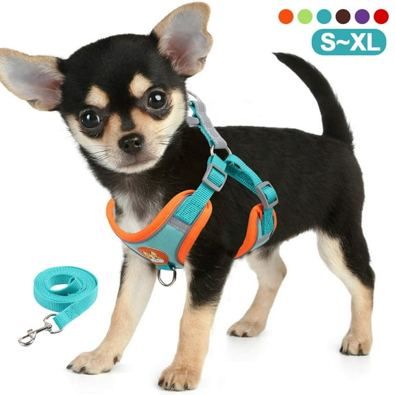 HANI Dog and Cat Universal Harness with Leash - Cat Harness Escape Proof - Adjustable Reflective Step in Dog Harness for Small Dogs Medium Dogs - Soft Mesh Comfort Fit No Pull No Choke,Blue,M