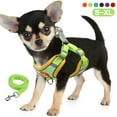 thumbnail image 1 of HANI Dog and Cat Universal Harness with Leash - Cat Harness Escape Proof - Adjustable Reflective Step in Dog Harness for Small Dogs Medium Dogs - Soft Mesh Comfort Fit No Pull No Choke,Green,S, 1 of 9