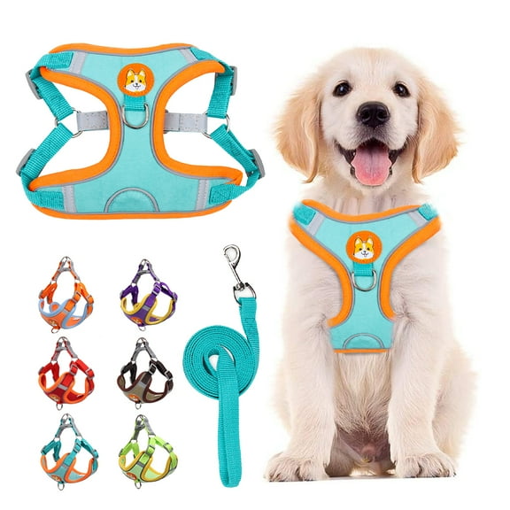 HANI Dog Harness- No Pull Step-in Small Dog Harness with Quick Release Buckle - Dog Harness for Small Dogs or Medium Dog Harness for Indoor and Outdoor Use，Reflective Easy Control,Blue,L