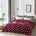 thumbnail image 1 of HAOK Plush Fleece Flannel Bed Blanket,Solid Print Cozy Soft Blanket Queen, 1 of 6