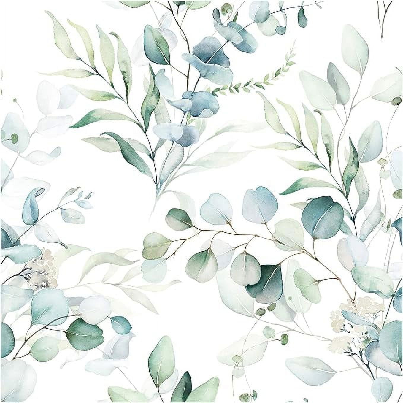 HAOKHOME 93042 Peel and Stick Wallpaper Boho Green/White Eucalyptus Leaf Floral Wall Mural Home Nursery Decor Renter Friendly Wallpaper 17.7in x 9.8ft