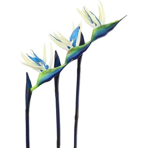 HAOSHICS 3Pcs Artificial Heaven Bird Flowers,Fake Bird of Paradise Strelitzia,Faux Silk Plants for Home Office Wedding Table Centerpeice Decor