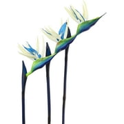 HAOSHICS 3Pcs Artificial Heaven Bird Flowers,Fake Bird of Paradise Strelitzia,Faux Silk Plants for Home Office Wedding Table Centerpeice Decor