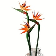 HAOSHICS 3Pcs Artificial Heaven Bird Flowers,Fake Bird of Paradise Strelitzia,Faux Plants for Home Office Wedding Table Centerpeice Decor