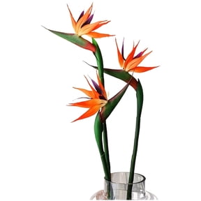 HAOSHICS 3Pcs Artificial Heaven Bird Flowers,Fake Bird of Paradise Strelitzia,Faux Plants for Home Office Wedding Table Centerpeice Decor