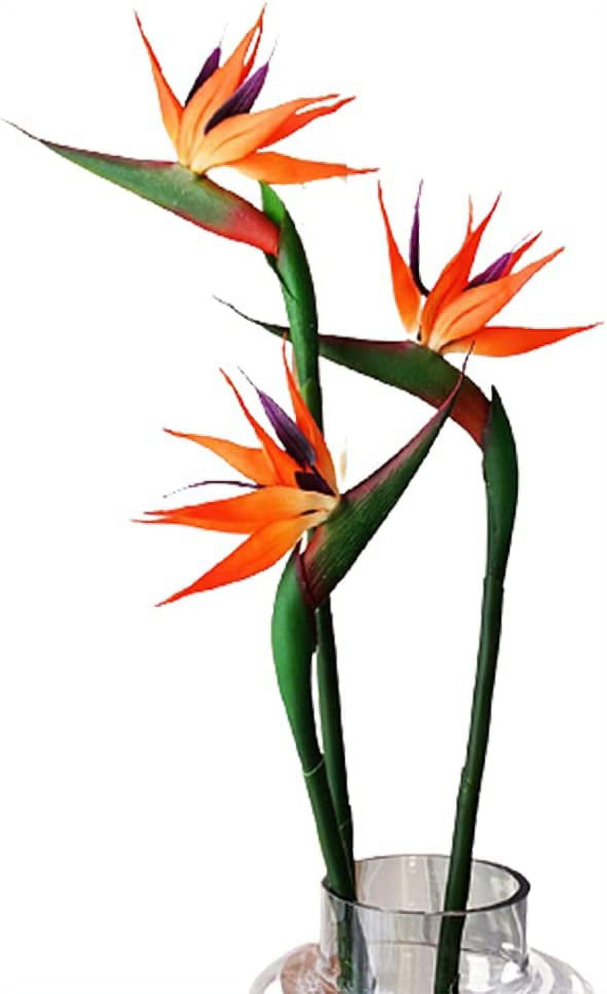 HAOSHICS 6Pcs Artificial Heaven Bird Flowers,Fake Bird of Paradise  Strelitzia,Faux Silk Plants for Home Office Wedding Table Centerpeice Decor  (Orange ...