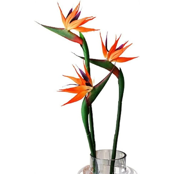 HAOSHICS 6Pcs Artificial Heaven Bird Flowers,Fake Bird of Paradise Strelitzia,Faux Silk Plants for Home Office Wedding Table Centerpeice Decor (Orange Large)