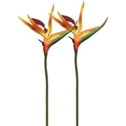 HAOSHICS 6Pcs Artificial Heaven Bird Flowers,Fake Bird of Paradise Strelitzia,Faux Silk Plants for Home Office Wedding Table Centerpeice Decor Orange Large