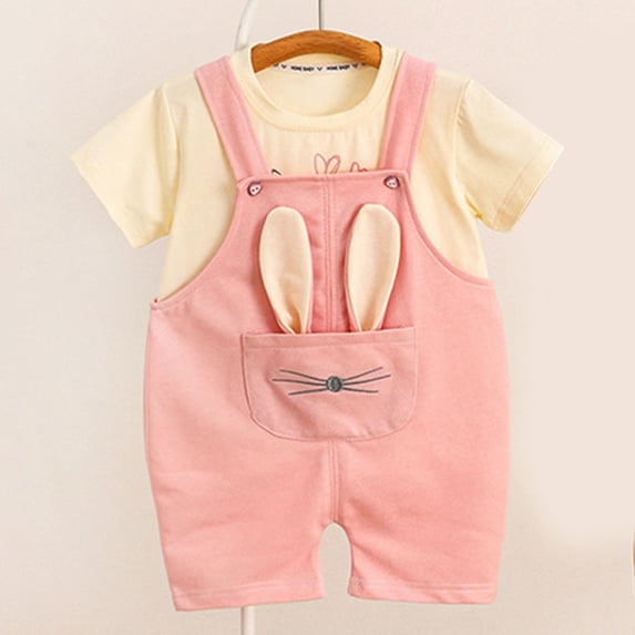 HAOTAGS Baby Girls Short Sleeve Tshirts with Overalls 2 Piece Sets, Casual Summer Outfits for Kids Pink 2-3 Years