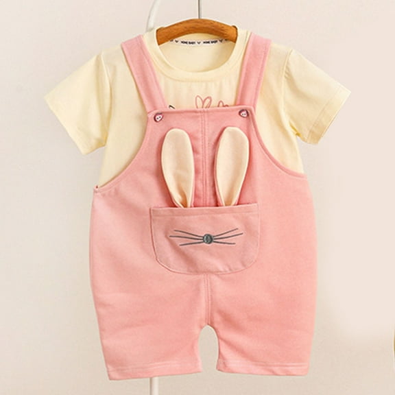 HAOTAGS Baby Girls Short Sleeve Tshirts with Overalls 2 Piece Sets, Casual Summer Outfits for Kids Pink 2-3 Years