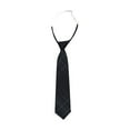 thumbnail image 1 of HAOTAGS Boys Checkered Tie, Academic School Uniform Bowtie Casual Preppy Necktie Black Free Size, 1 of 2