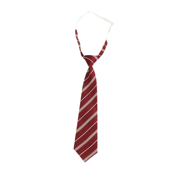 HAOTAGS Boys Striped Tie for School Uniforms, Accessory College Style Adjustable Neckties Student Shirts Tie Wine Free Size