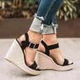 thumbnail image 1 of HAOTAGS Casual Walking Sandals for Ladies High Heel Platform Breathable Open Toe Shoes for Beach Black Size 6, 1 of 6