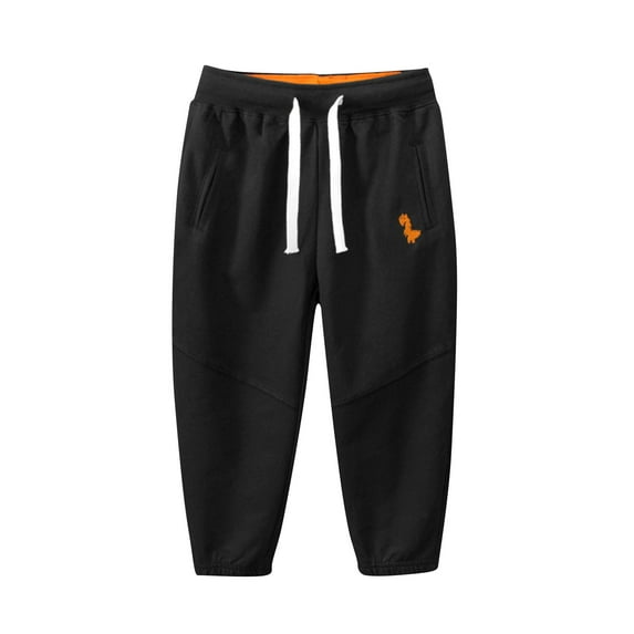 HAOTAGS Child's Solid Color Sweatpants Drawstring Elastic Waist Boys Casual Outdoor Pants Black Size 3 Years
