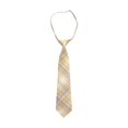 thumbnail image 1 of HAOTAGS Kids Preppy Style Tie, School Uniform Junior Student Plaid Causal Neckties Yellow Free Size, 1 of 2