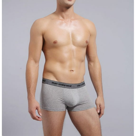 HAOTAGS Mans Underwear Solid Comfortable Breathable Boxers Underwear Gray Size XL