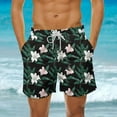 thumbnail image 1 of HAOTAGS Men's Quick Dry Swim Trunks Swimsuits Printed Loose Fit Beach Shorts with Pockets Multicolor Size S, 1 of 6