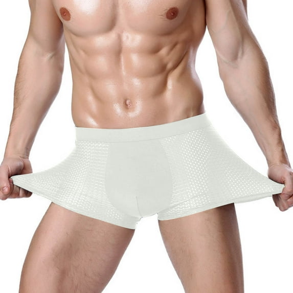 HAOTAGS Men's Underwear Boxer Briefs Breathable Ice Silk Cotton Regular Mens Boxer Briefs Underwear Men Pack White Size L
