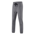 thumbnail image 1 of HAOTAGS Pants for Men, Relaxed Athletic Workout Jogger pants with Pocket and Drawstring Gray L, 1 of 4