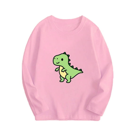 HAOTAGS Toddler Boys Girls Sweatshirts , Solid Graphic print Casual Spring Fall Winter Pullover Bottoming Tops Round Neck Pink 14 T