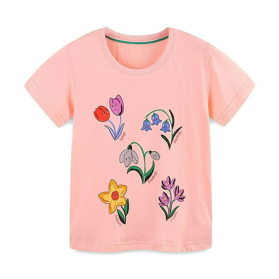HAOTAGS Toddler Girls Cute Graphic Print Tee Shirts (2-8Years) Short Sleeve Round Neck Tshirts for Summer Pink 2 Years