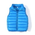 thumbnail image 1 of HAOTAGS Toddler Hooded Warm Puffer Vest Outerwear Kid Tops Vest Blue Size 4 Years, 1 of 7