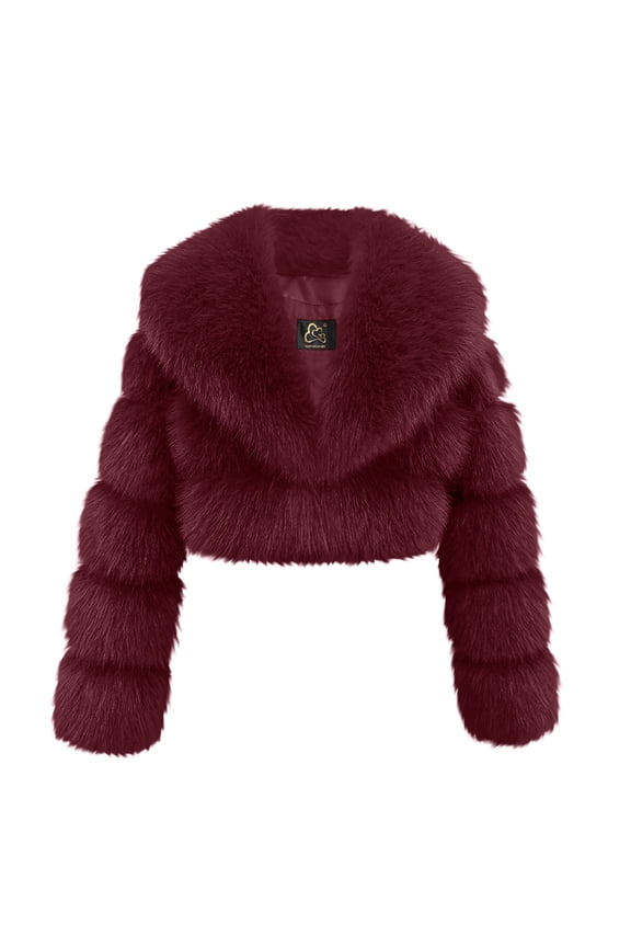 Women's Faux Fur Short Jacket, Plush Winter Warmth Long Sleeve Long Sleeve Zip Coat Wine XL