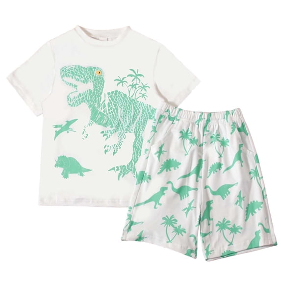 HAOTAGSBoys Outfit Sets, Graphic Short Sleeve T-Shirt & Shorts 2-Piece Summer Casual Trendy Clothing Sets White Size 7