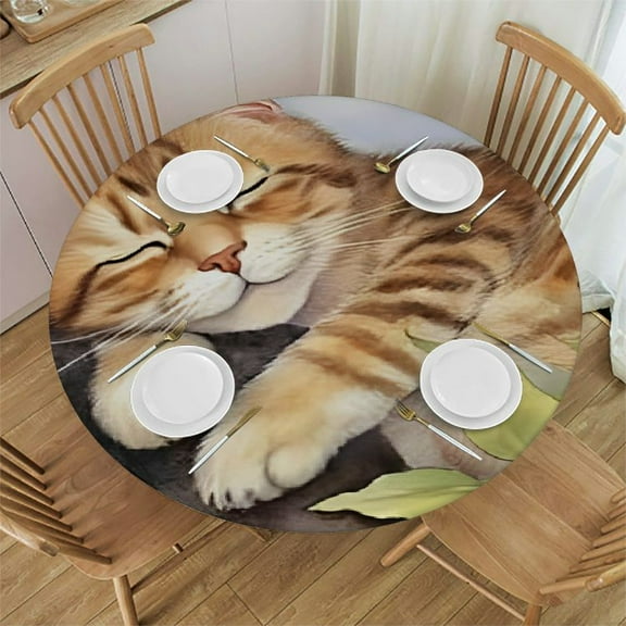 HAOXIT Cat on Watercolor Fitted Tablecloth with Elastic Protector Table Kitchen Dinner Waterproof Oil-Proof Table Covers 31"-35