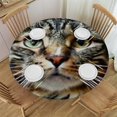 thumbnail image 1 of HAOXIT Fitted Round Style Cat, Table Cover,Elastic Edged Table Cloth Fits Round Tables 54-58, 1 of 8