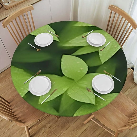 HAOXIT Jungle Scenery Round Fitted Tablecloth with Elastic Edged Table Cover for Round Table 42-46
