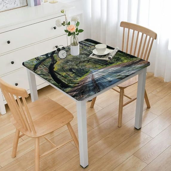 HAOXIT Nature Tablecloth, Road in The Forest with Trees Botany South Carolina National Park Eco Picture, Dining Room Kitchen Rectangular Table Cover 54''x54''