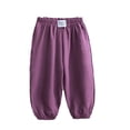 thumbnail image 1 of HAOYUNL 6M-12T Kids Baby Boys Girls Loose Pants Sweatpants Pants Toddler Elastic Lounge Trousers Casual Summer Cute Jogger Pants Anti-Mosquito Pants, 1 of 9