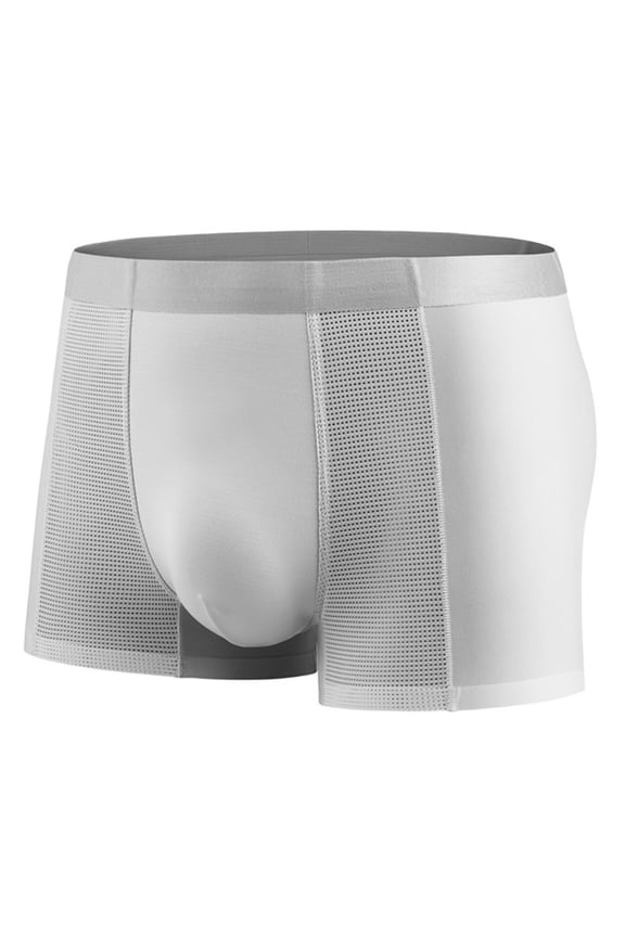 Men's Underwear Ice Silk Briefs See Thru Underwear Sexy Lingerie for Man Comfort Breathable Pouch Underpants