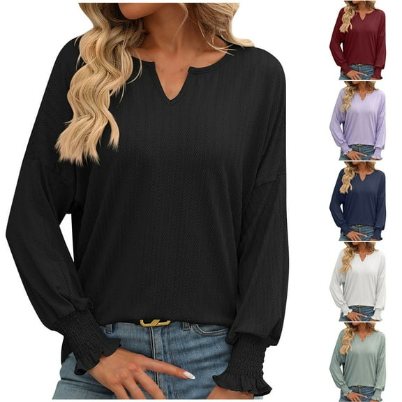 HAPIMO Women's Casual Elegant Loose Shirts Vacation Workout Fashion V Neck Pullovers Solid Color Tops Ruffle Tunic Long Sleeve Business Tees Outfits Black L